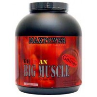 Big Muscle (2,5кг)